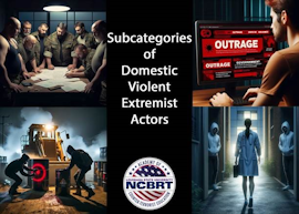 Subcategories of Domestic Violent Extremist Actors slide preview
