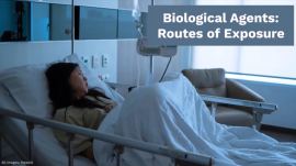 Biological Agents: Routes of Exposure slide preview