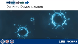 Demobilization in a Pandemic Demobilization in a Pandemicslide preview